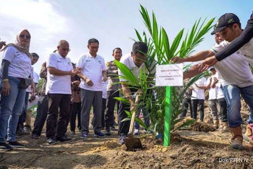 Regional 1 PTPN IV Tanam Perdana Program Peremajaan Sawit Rakyat (PSR) Jalur Kemitraan Perkebunan